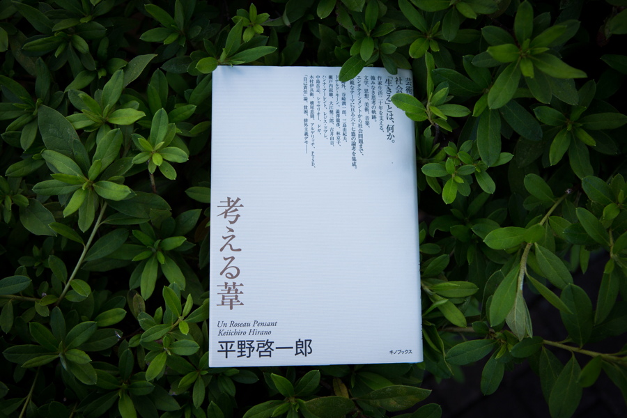 「面倒臭い」がない世界──『考える葦』（平野啓一郎）より